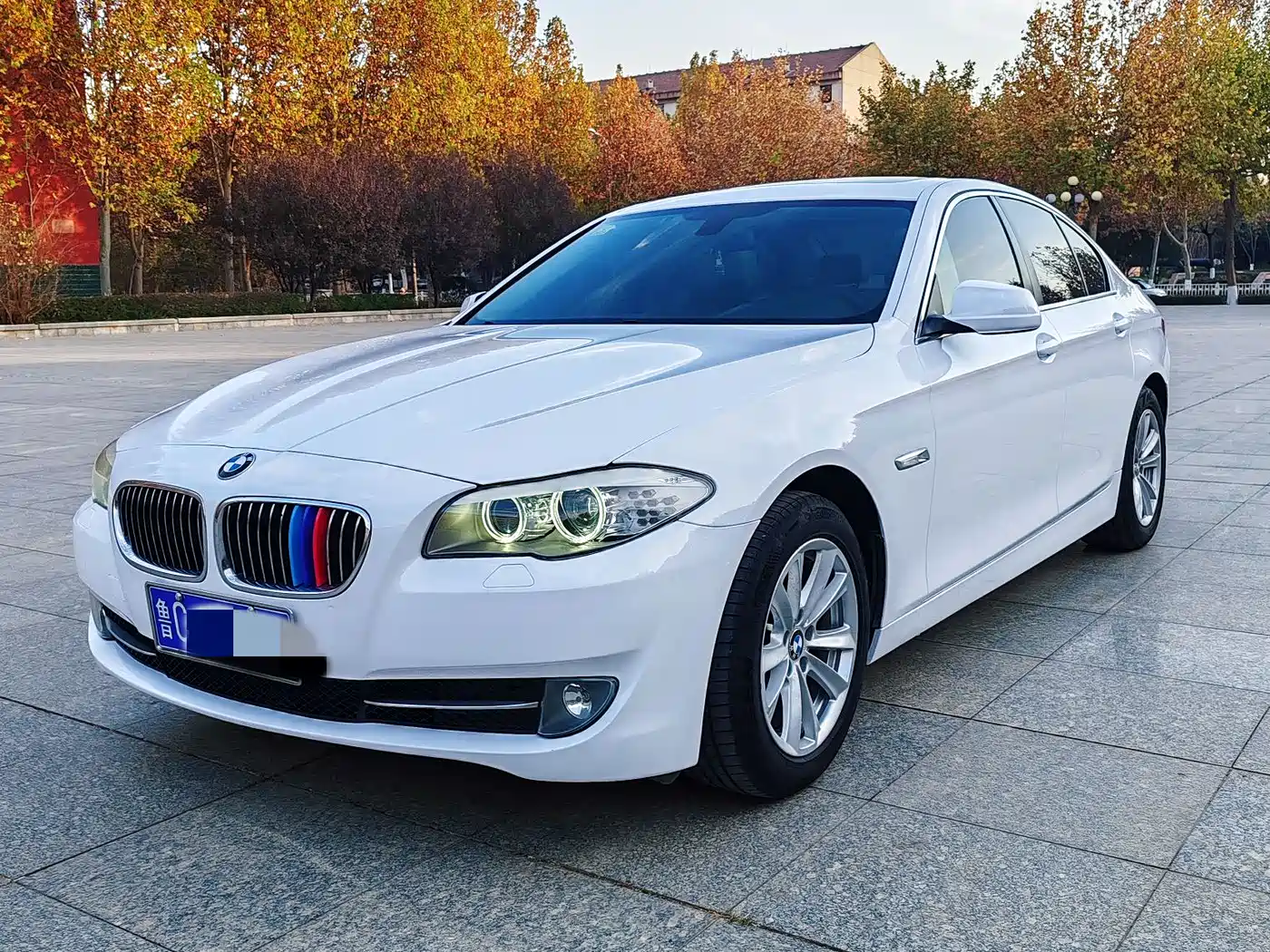 BMW 5 Series 2013 520Li Elegance фото 4
