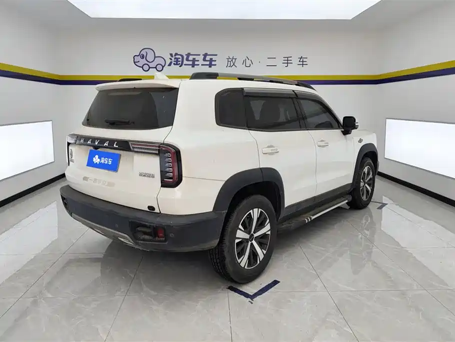 Haval Big Dog 2021 1.5T DCT 2WD Labrador Edition фото 3