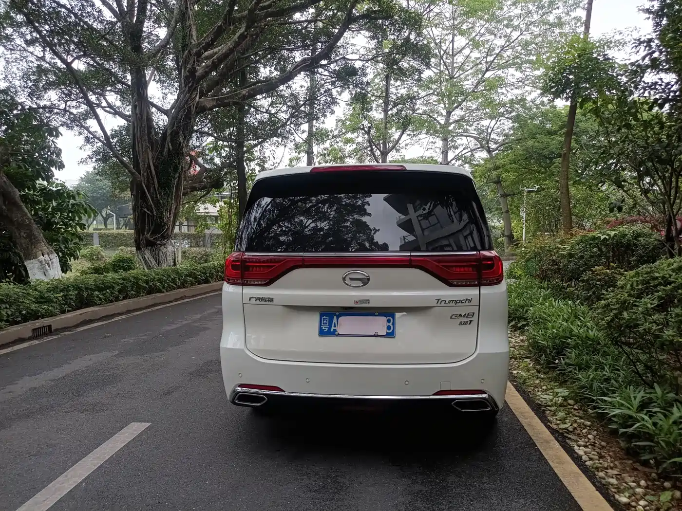 GAC Trumpchi Trumpchi M8 2018 320T Premium Edition фото 5