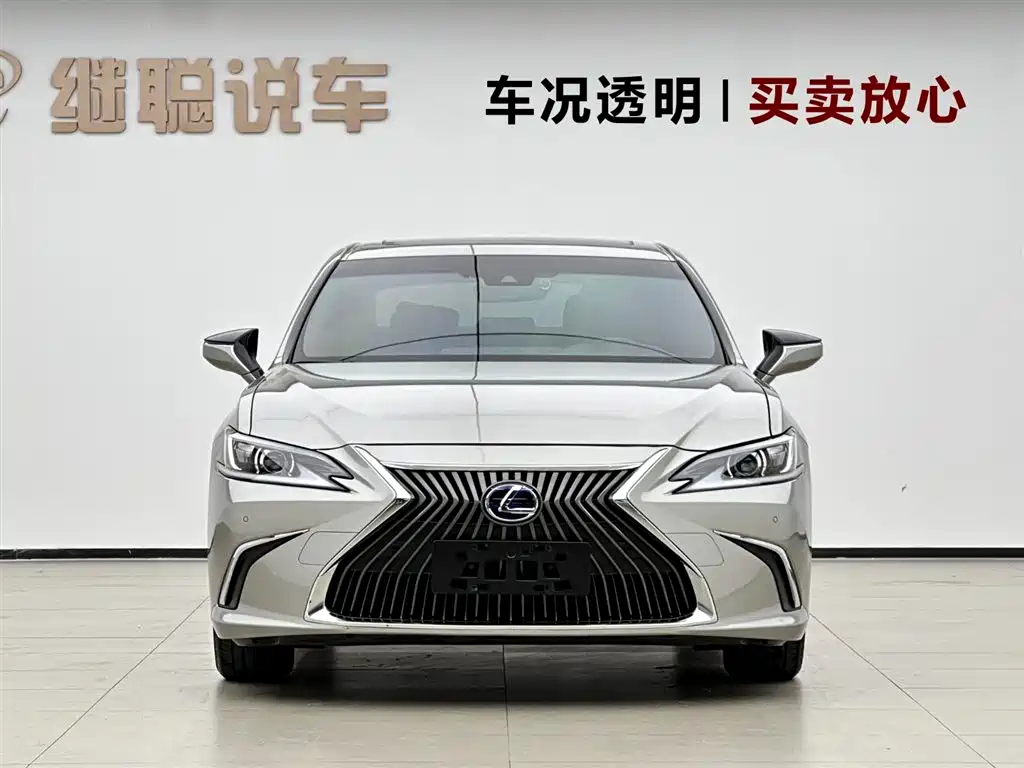 Lexus ES 2020 Model 300h Excellence Edition фото 2