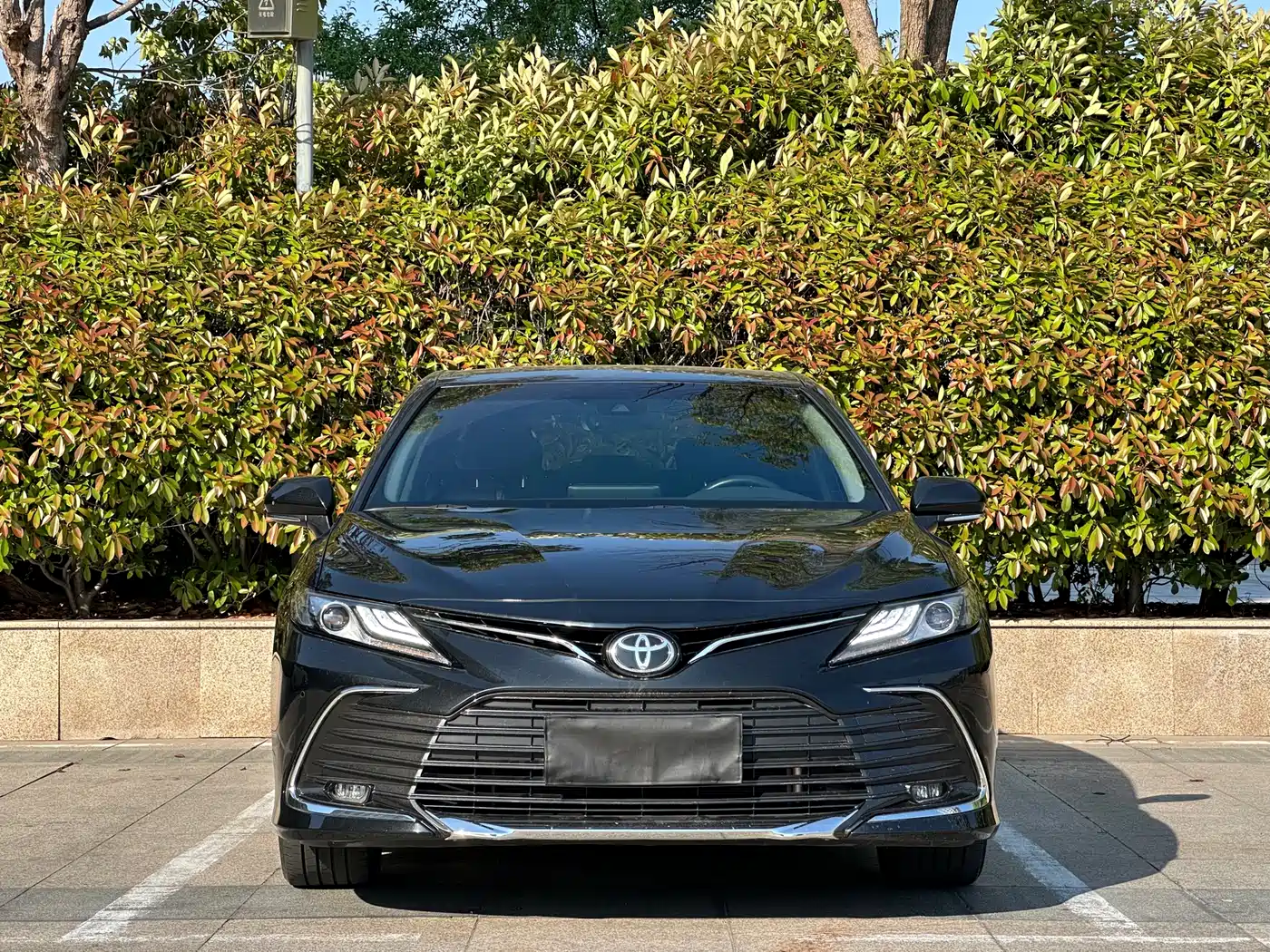 Toyota Camry 2023 2.5G Luxury Edition фото 2