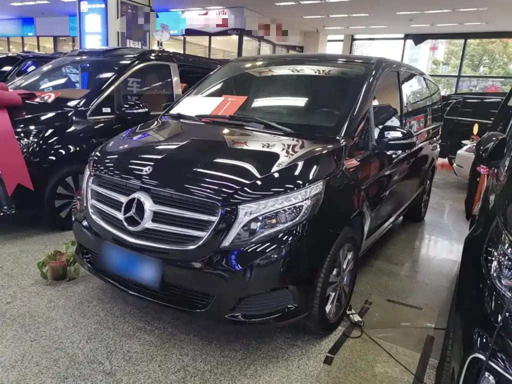 Mercedes-Benz V-Class 2018 V 260 Pilot Edition China V фото 2