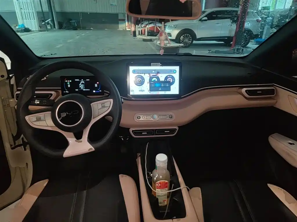 BYD Seagull 2025 Smart Drive Edition 305km Vitality Version фото 10