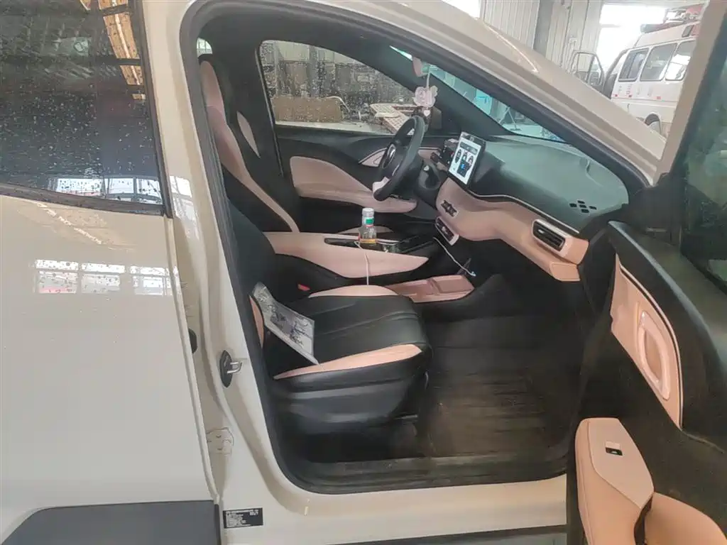BYD Seagull 2025 Smart Drive Edition 305km Vitality Version фото 25