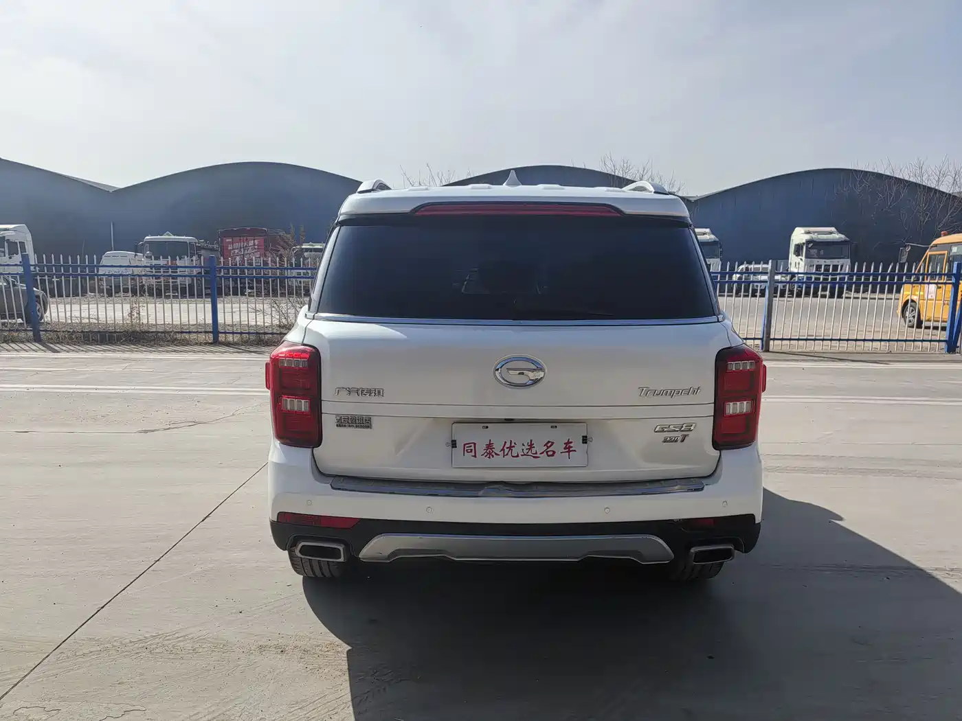 GAC Trumpchi Trumpchi GS8 2017 320T AWD Luxury Smart Connect (7-Seater) фото 20
