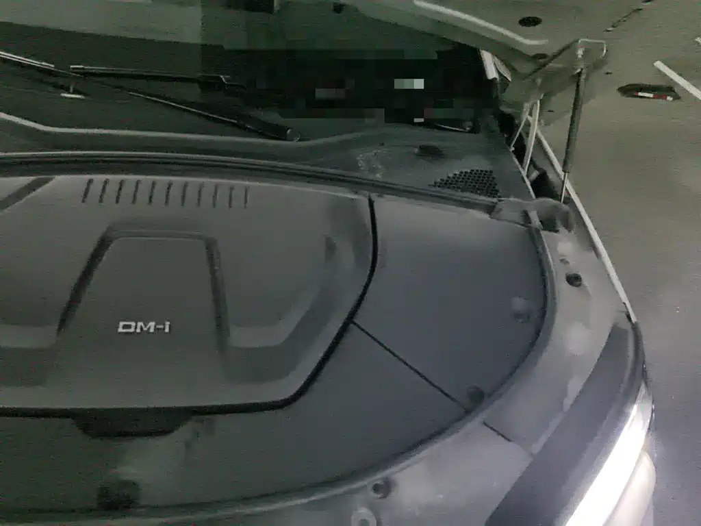 Фото 22 - BYD Song PLUS PHEV