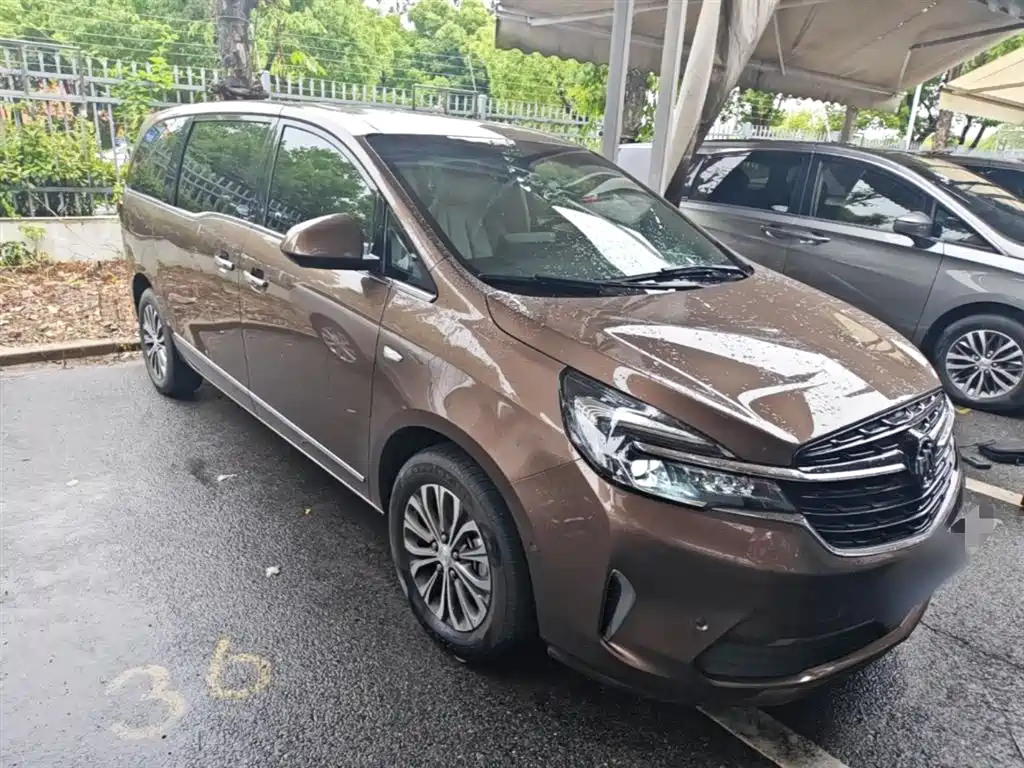 Buick GL8 2021 Land Business Class 652T Premium фото 4