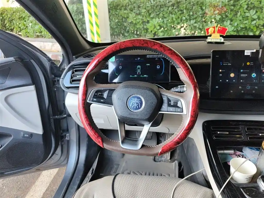 BYD Qin PLUS 2024 Glory Edition DM-i 55KM Leading фото 3