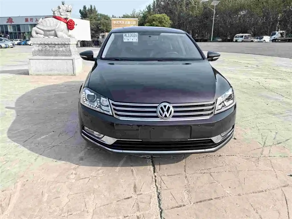 Volkswagen Magotan 2013 1.8TSI Luxury фото 2