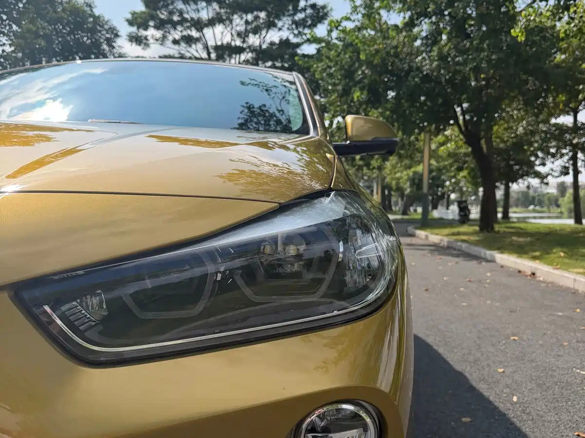 BMW X2 (Import) 2019 2019 sDrive20i M Off-Road Package China VI