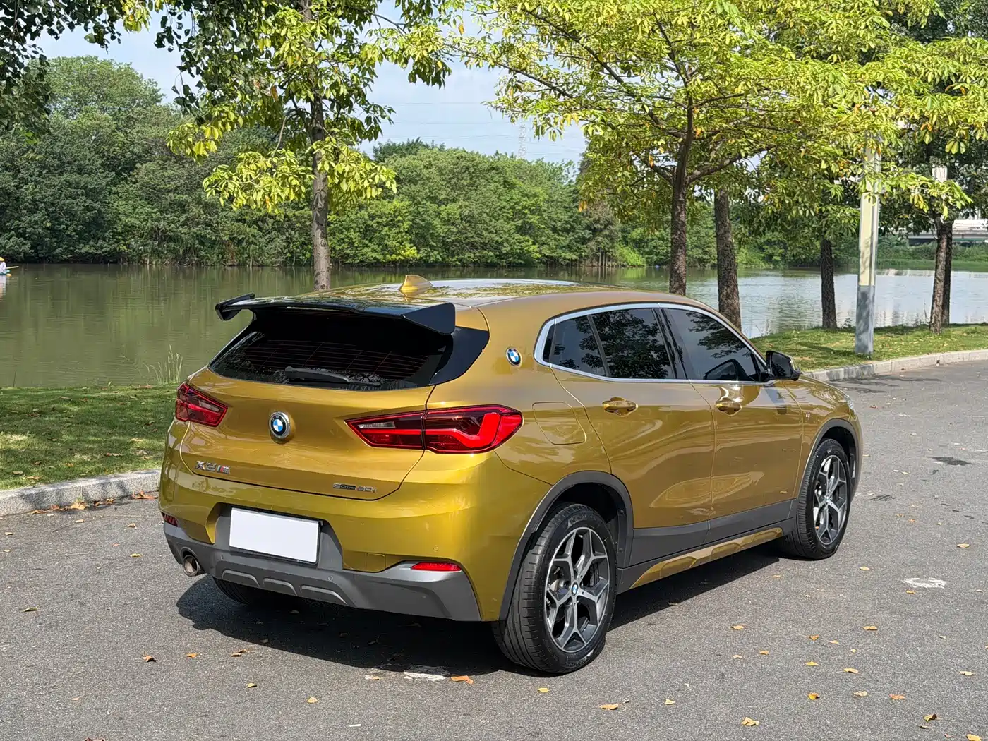 BMW X2 (Import) 2019 2019 sDrive20i M Off-Road Package China VI
