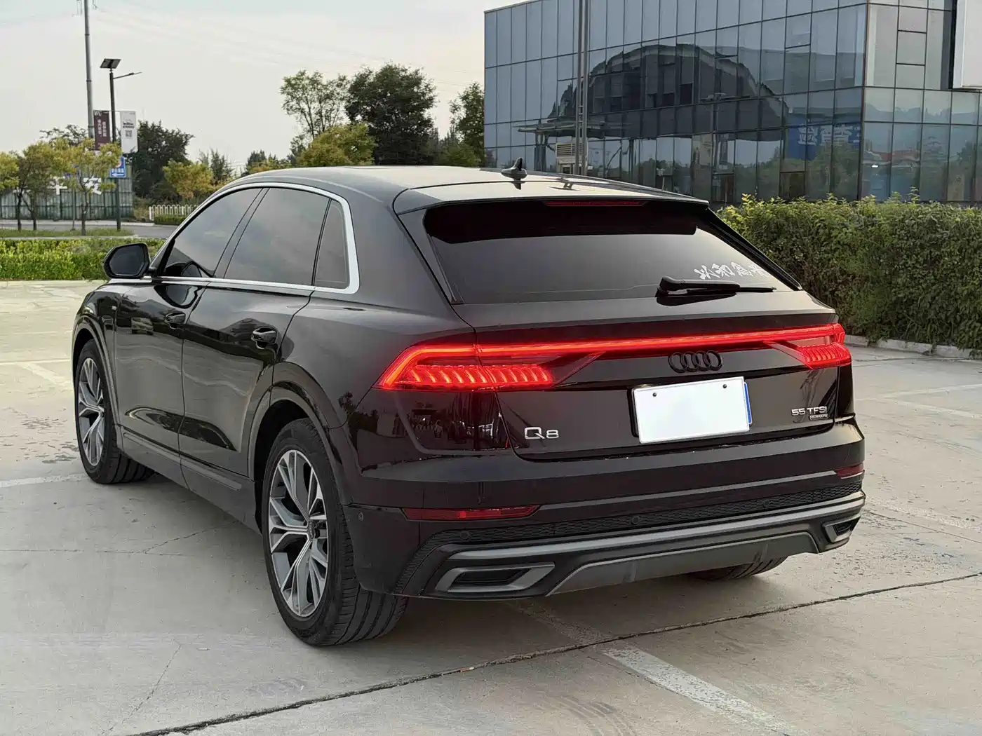 Audi Q8 2023 2022 55 TFSI Premium Selection Dynamic