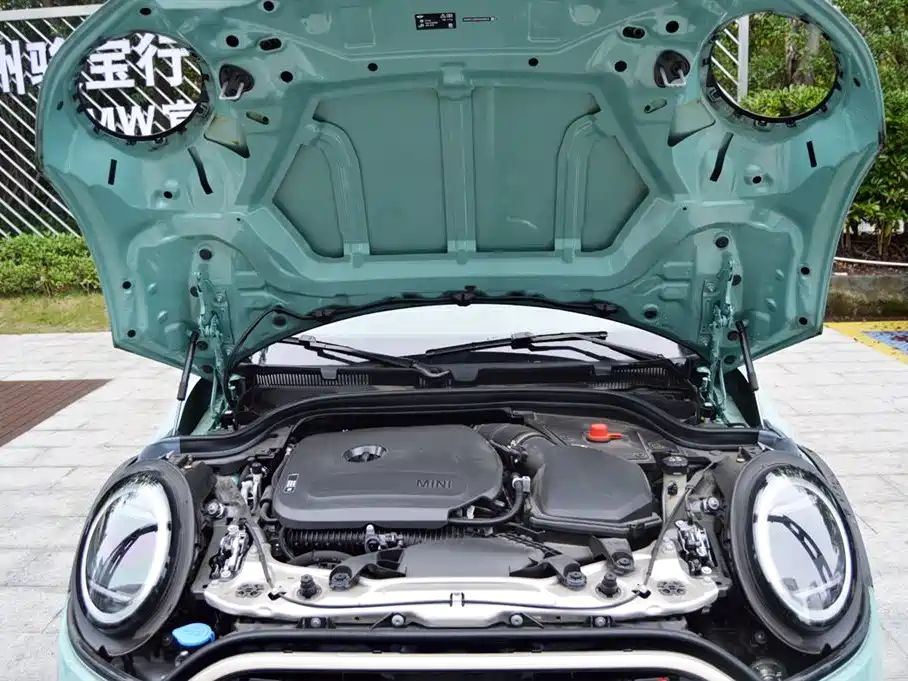 MINI MINI 2025 2025 2.0T COOPER S Artist