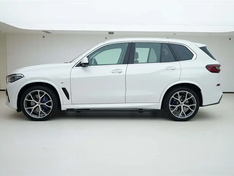 BMW X5 (Import) 2022 xDrive40i Premium M Sport Package фото 3