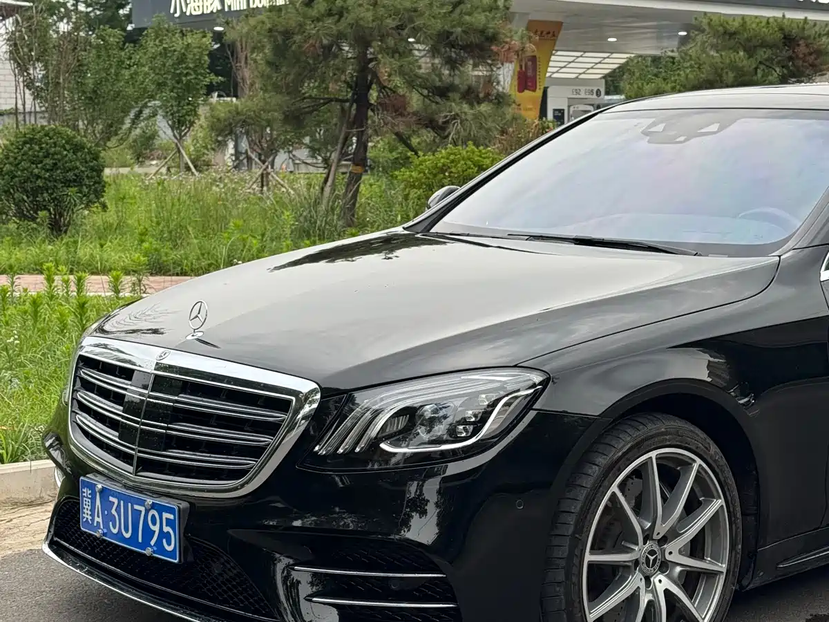Mercedes-Benz S-Class 2020 S 450 L 4MATIC Collector's Version фото 4