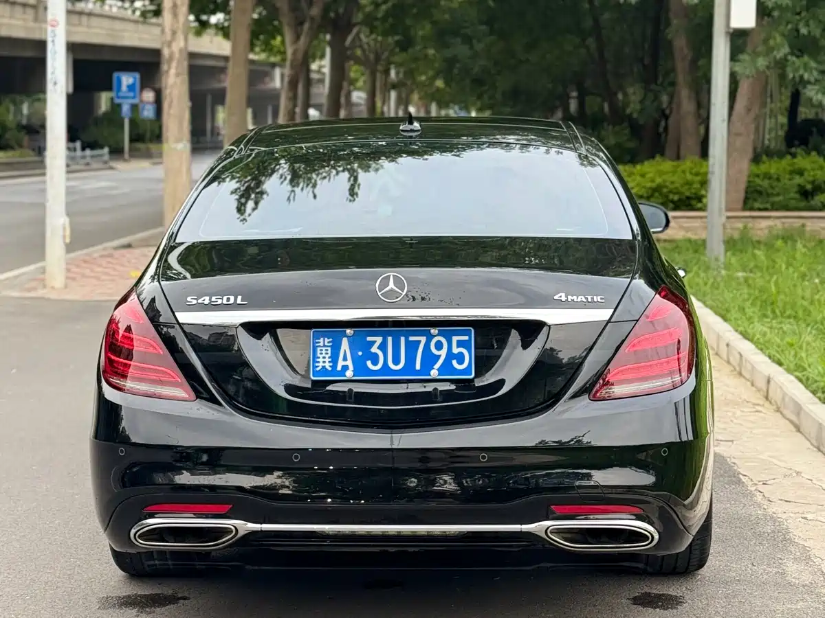 Mercedes-Benz S-Class 2020 S 450 L 4MATIC Collector's Version фото 6