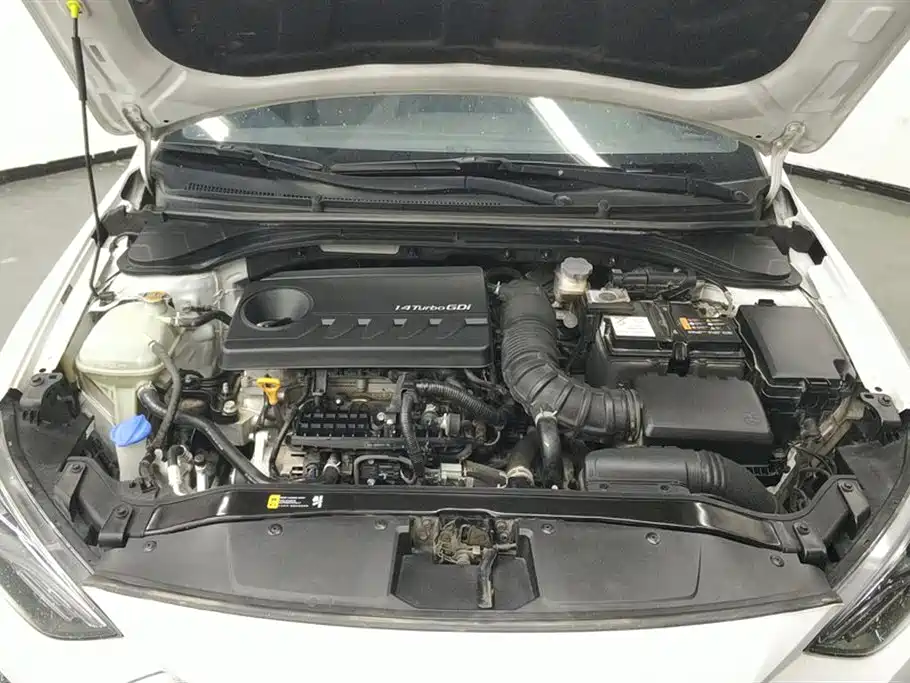 Hyundai Elantra 2019 1.4T Dual-clutch XuanDong·Vitality Type фото 10
