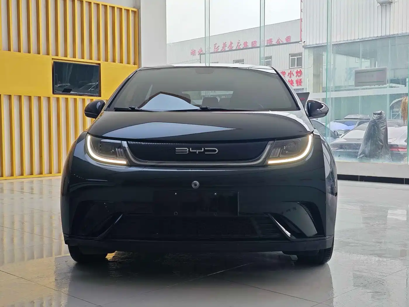 BYD Dolphin 2023 420km Fashion Edition фото 2