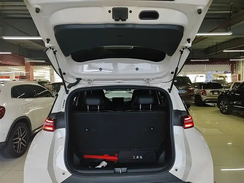BYD Seagull 2023 Vitality Edition фото 19