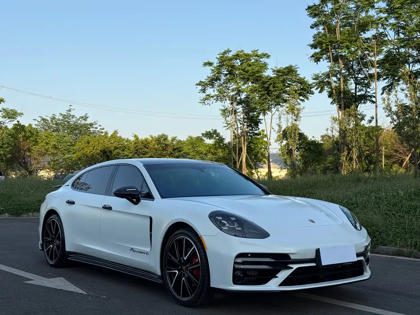Porsche Panamera 2019 Panamera 4 Executive Long Wheelbase 2.9T фото 3