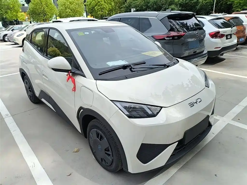 BYD Seagull 2025 Smart Drive Edition 305km Vitality Version фото 4