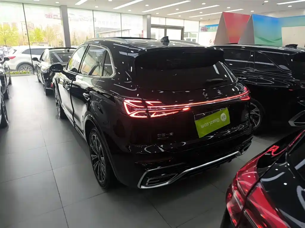 Hongqi HS5 2023 2.0T AWD Flag Enjoy Pro Edition фото 5