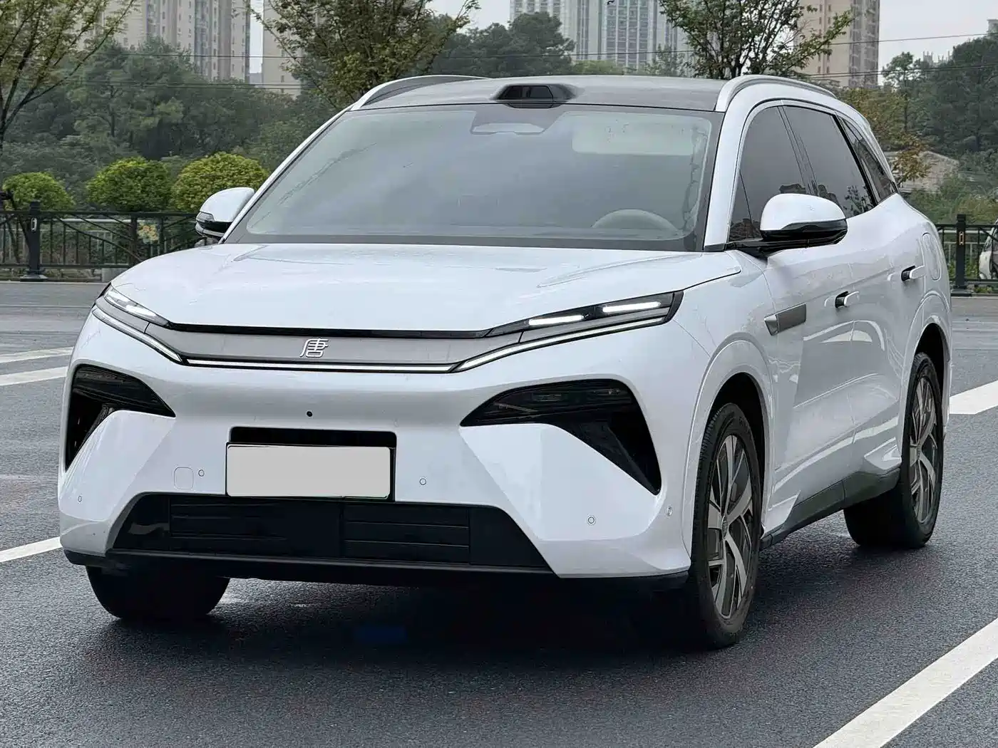 2026 BYD Tang L
