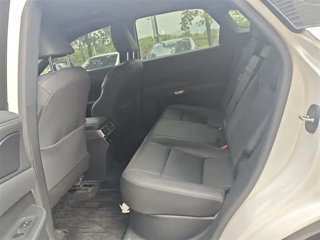Фото 7 - Lexus RX