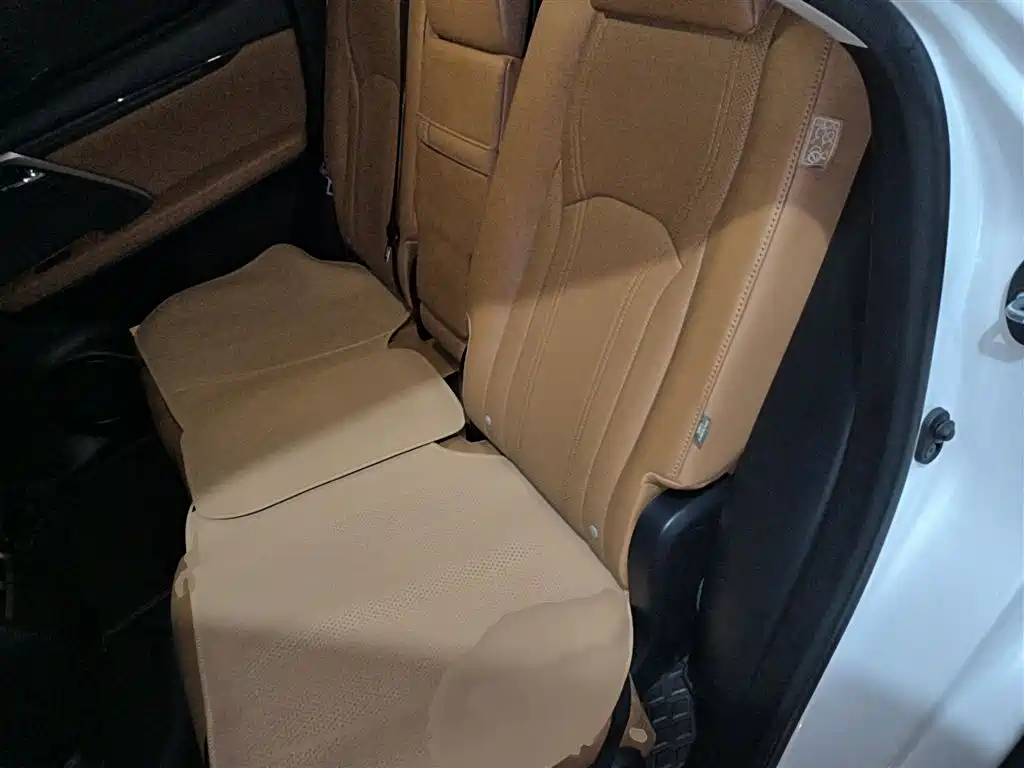 Lexus RX 2020 Facelift 300 AWD Elegance Edition фото 15