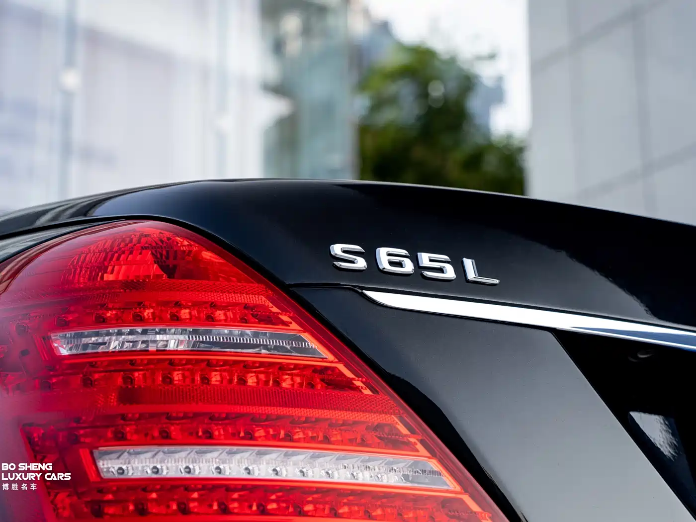 Mercedes-Benz S-Class AMG 2010 AMG S 65 фото 8
