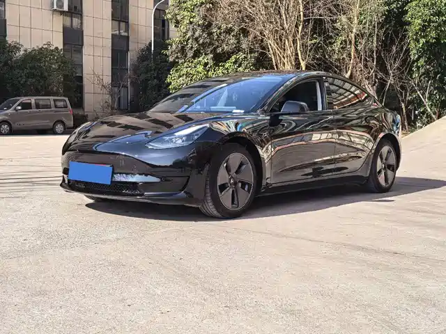 Tesla Model 3 2022 Model Rear-Wheel Drive Version