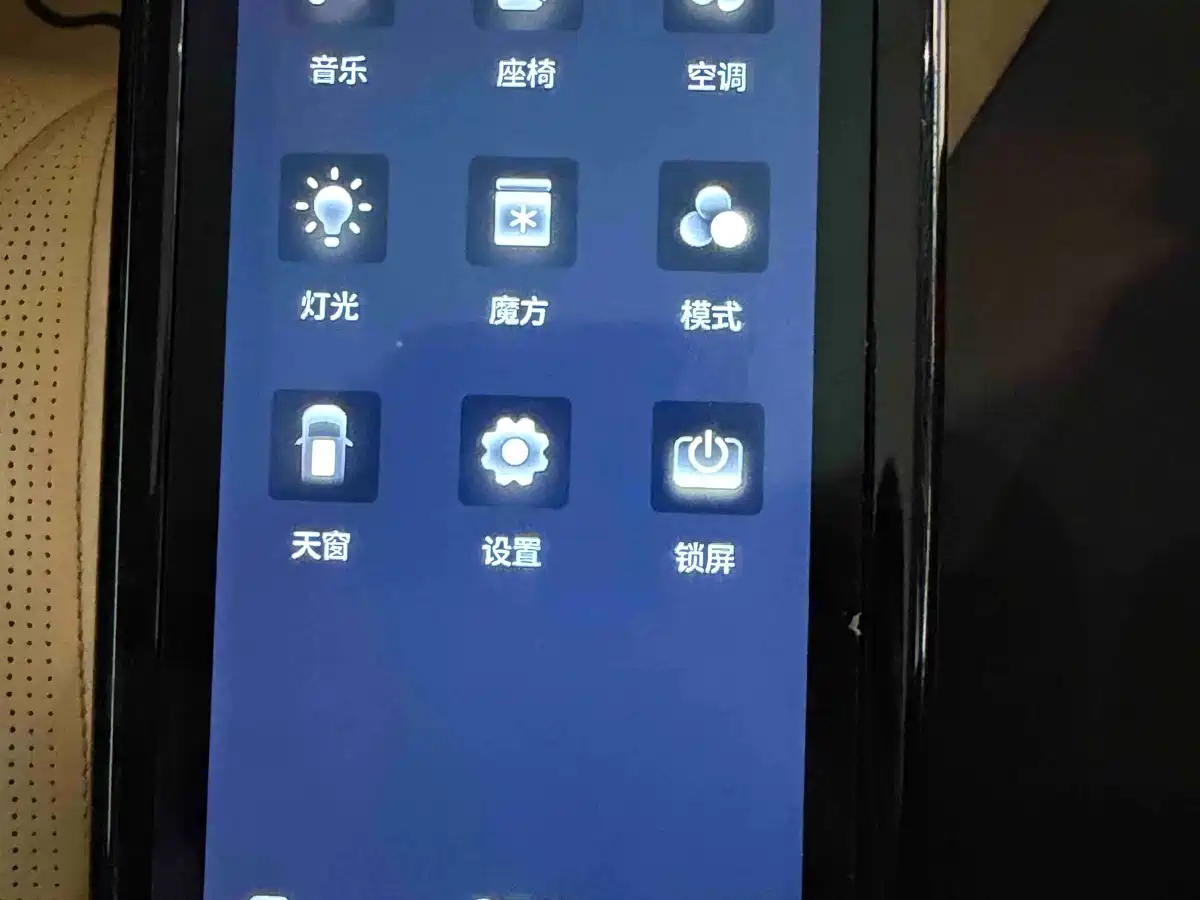 Denza D9 2022 DM-i 970 AWD Flagship фото 18