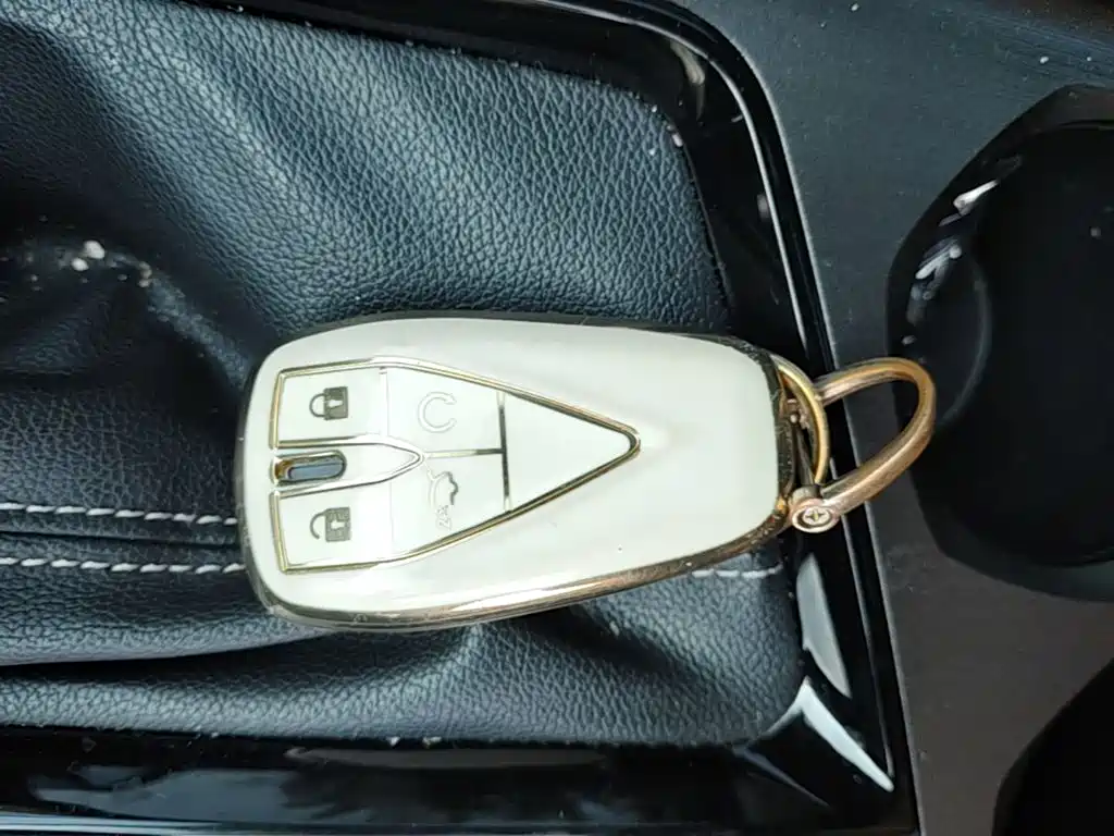 Changan Oshan X7 PLUS 2023 2022 1.5T Blue Whale Edition Auto Executive
