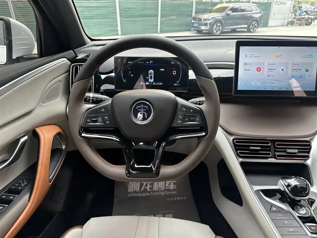 BYD Song Pro New Energy 2022 DM-i 51km Luxury фото 11