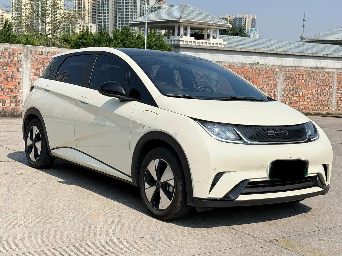 BYD Dolphin 2023 420km Fashion Edition фото 3