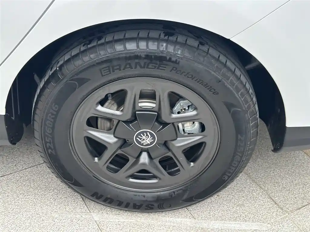 BYD Qin PLUS 2025 DM-i Smart Drive 55KM Leader фото 20