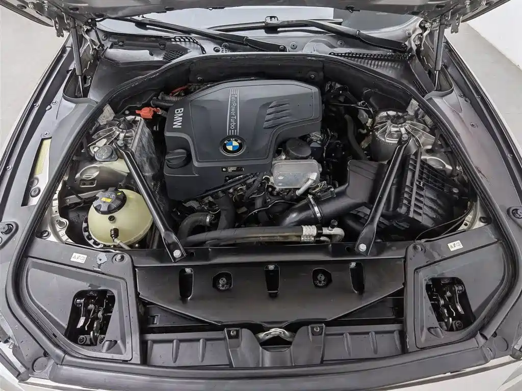 BMW 5 Series 2017 525Li Luxury Design Package фото 6