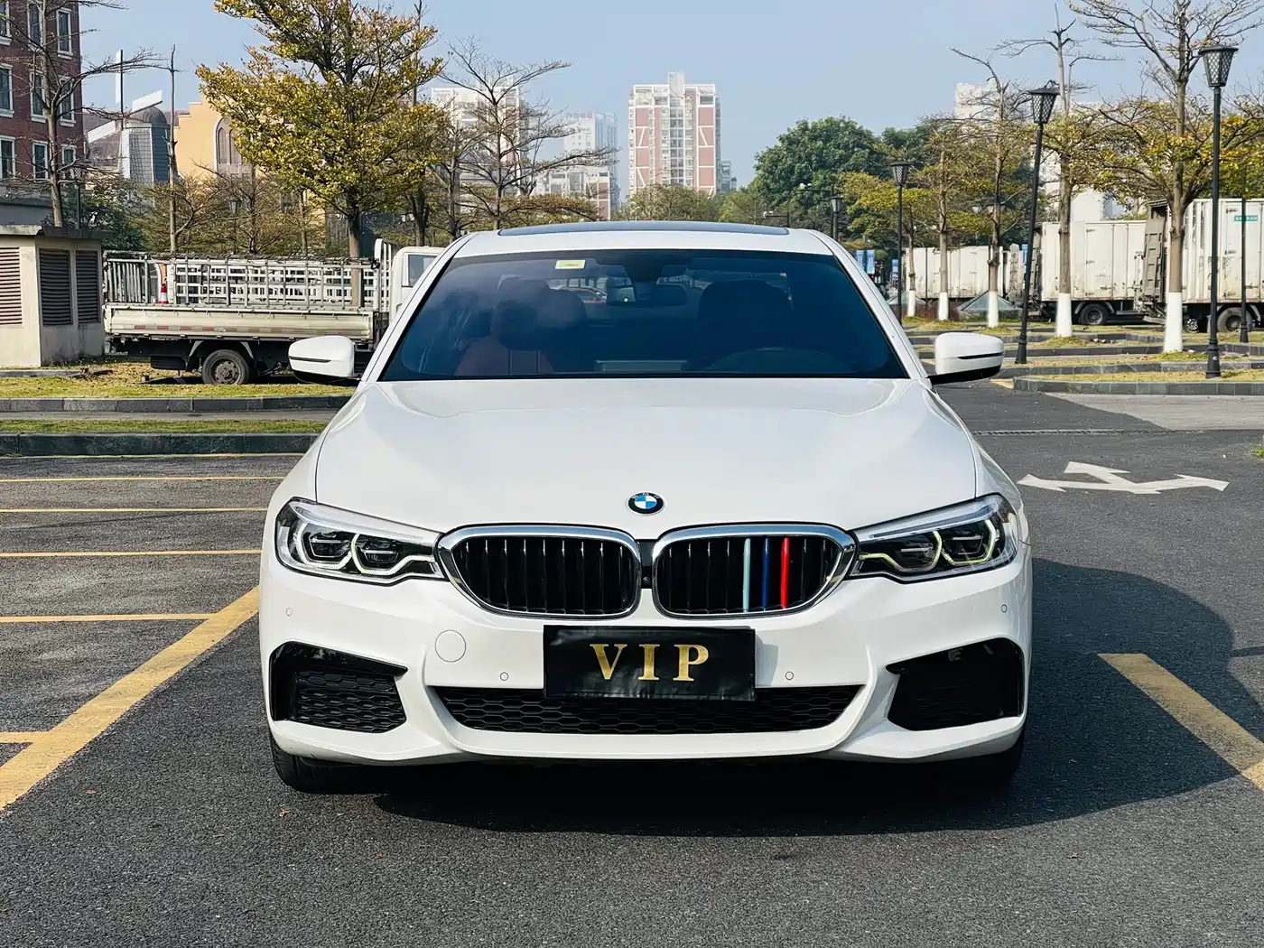 BMW 5 Series 2020 530Li Leading M Sport Package фото 2