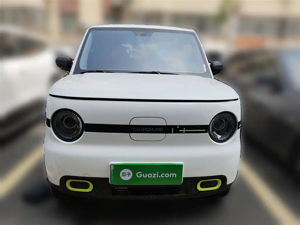 Geely Galaxy Panda 2025 Panda mini 210km Vitality Bear фото 24
