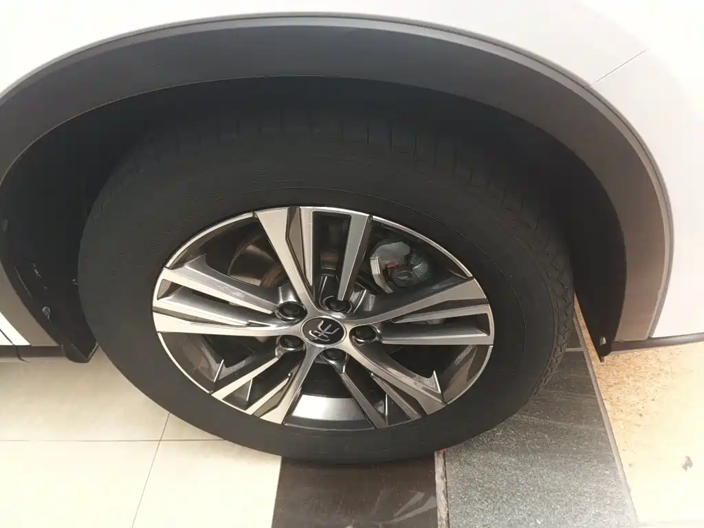 Фото 25 - BYD Song Pro