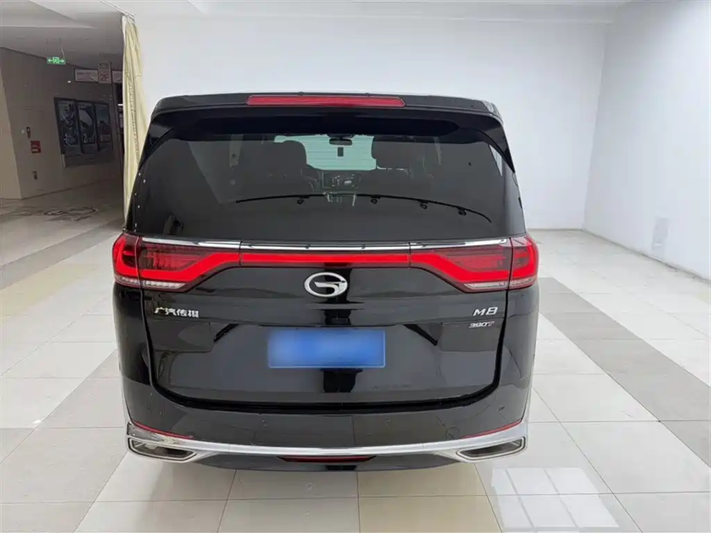 GAC Trumpchi Trumpchi M8 2023 Leading Series 390T Premium Edition фото 28