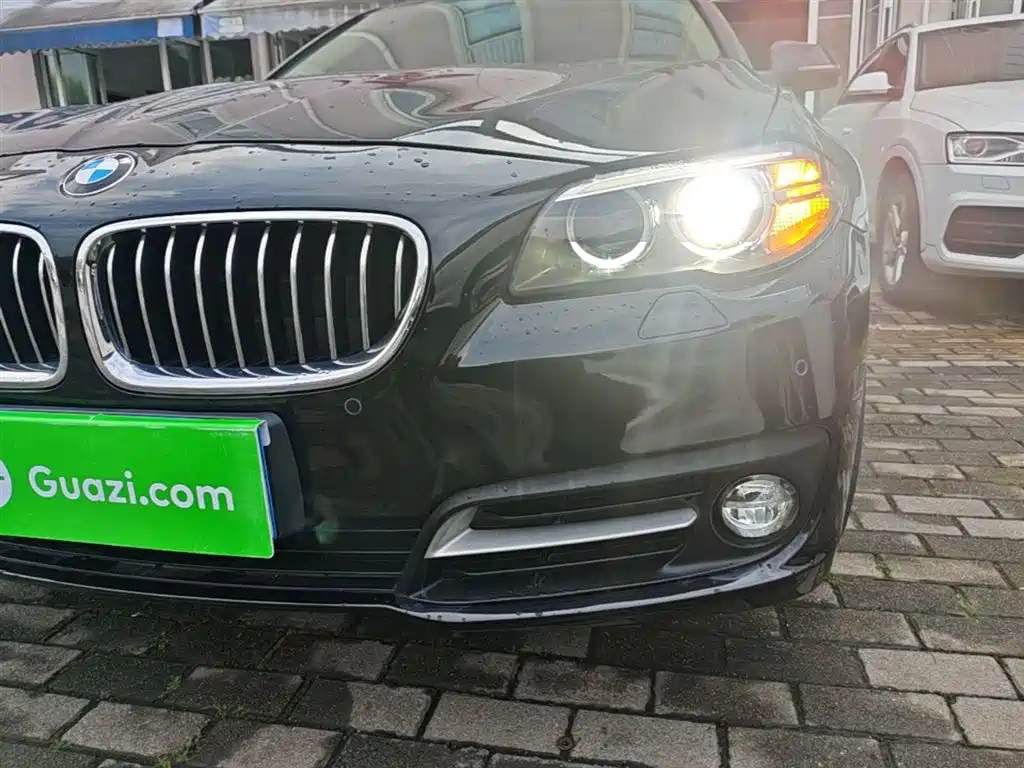 BMW 5 Series 2014 528Li Leading Edition фото 18