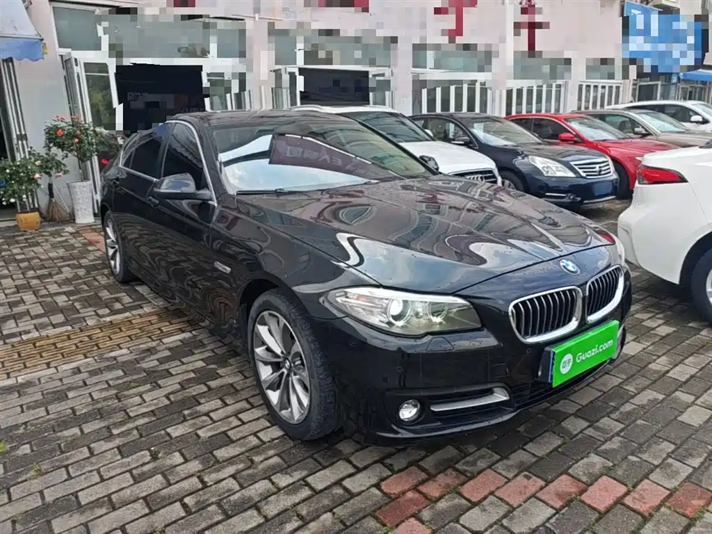 BMW 5 Series 2014 528Li Leading Edition фото 22