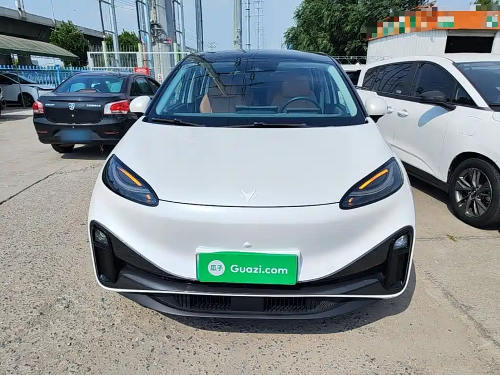 Фото 3 - ARCFOX Koala
