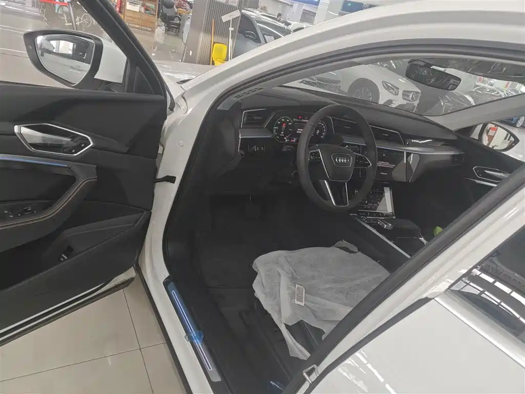 Audi e-tron 2021 50 quattro Luxury фото 16