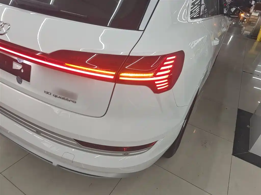 Audi e-tron 2021 50 quattro Luxury фото 8