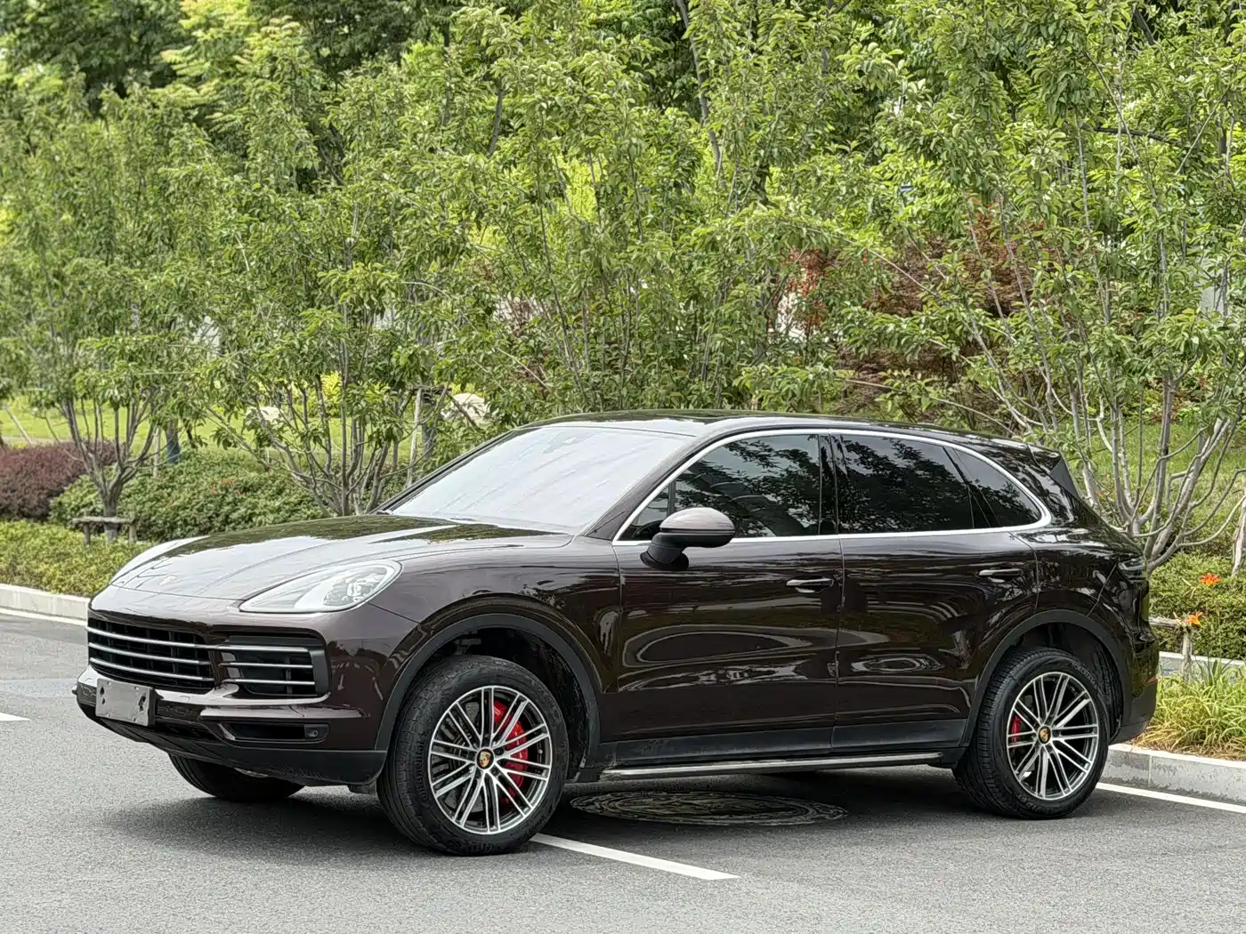Porsche Cayenne 2022 Cayenne 3.0T Platinum Edition