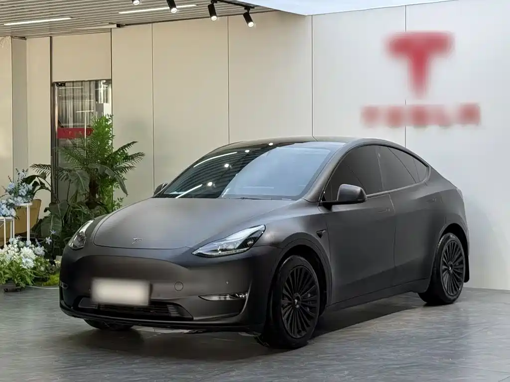 Tesla Model Y 2021 Long Range All-Wheel Drive 3D7