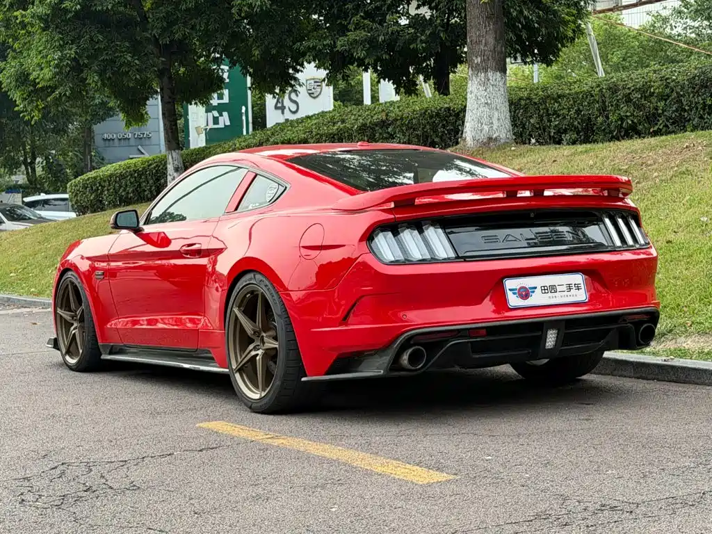 Saleen Mustang 2019 2015 5.0T Titanium