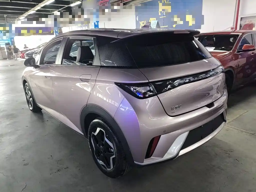 BYD Dolphin 2022 2021 405km Freedom Edition